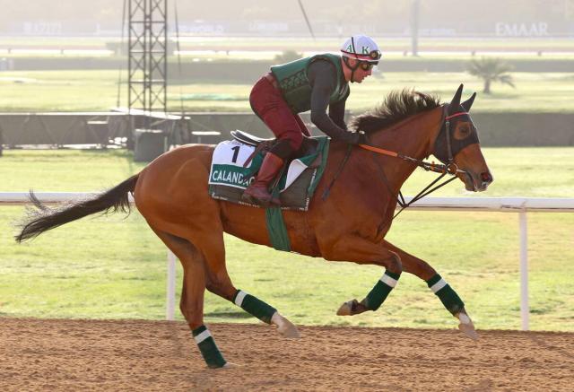 ѥC륫󤬲ǯɽϤ˷ꡡ󥯸1