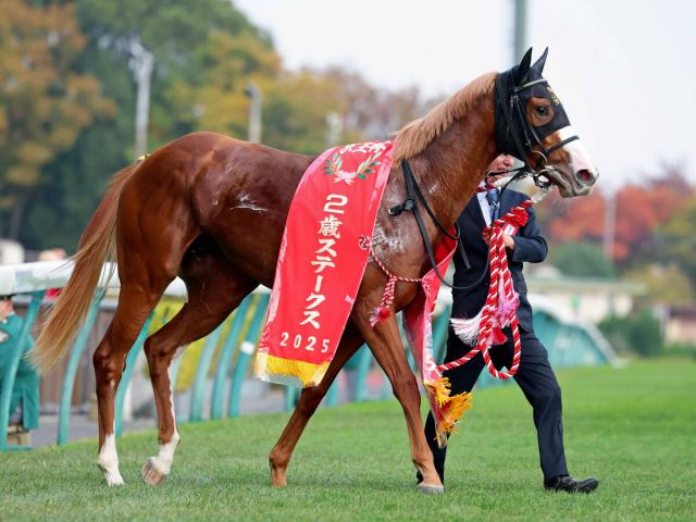 【注目馬動向・2歳】京王杯2歳Sを制したダイヤモンドノットは朝日杯FSへ　鞍上は引き続きルメール騎手