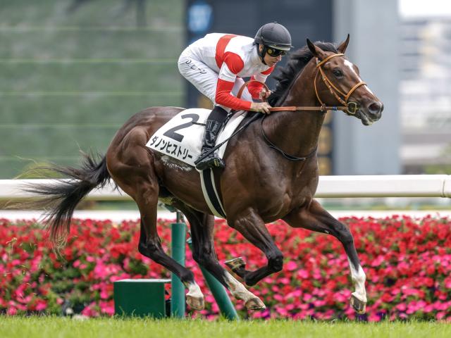 쥹2SϡۥΥҥȥ꡼D.졼󵳼ꡢȥT.ޡɵʤ12Ƭ