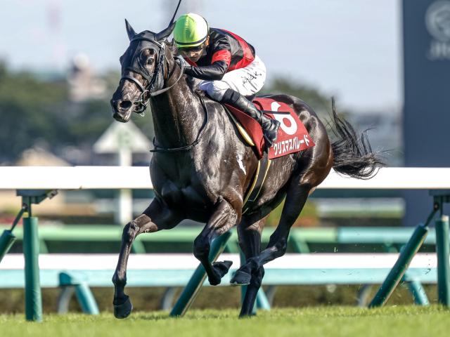 ʡ絭ǰϡۥꥹޥѥ졼ɡͺ귽ꡢġA.ס󵳼ʤ16Ƭ