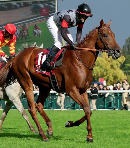 ƤγĥǼषޡ졼夳߾夲פ