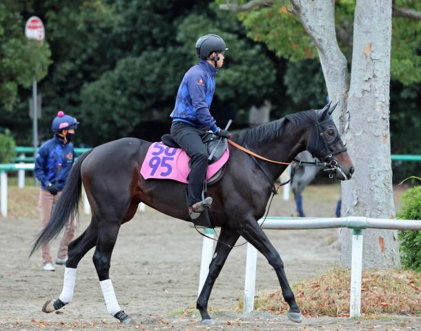 POG۾ϥ󥹥٥ϼǥޥǴԡĴա֥󥹤Τϡ