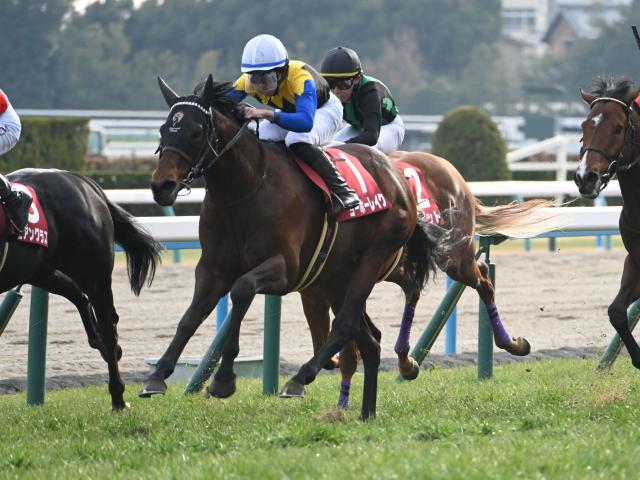 ͭưۥ륫ޡ3ʷϵѥ衼ۡ쥤 øʤιϪ/ϻϺΤĤ֤䤭