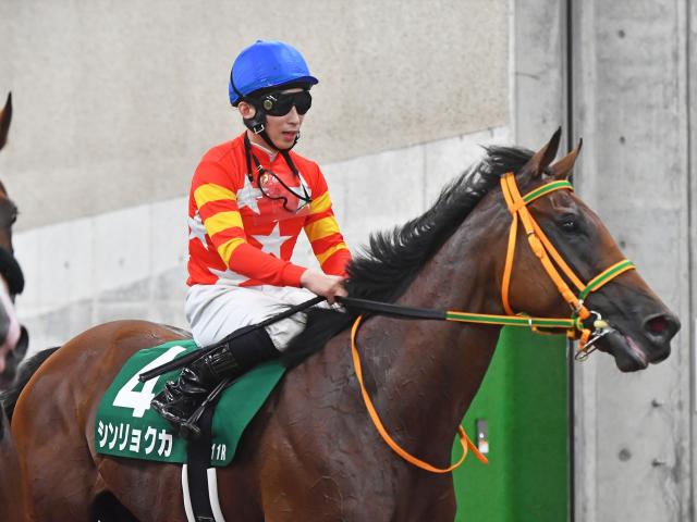 ǯο㵭ǰƼԥ祯 Ҿ˿