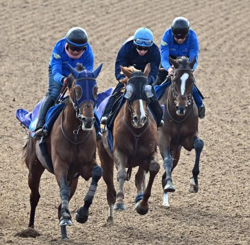 ݡ2S轵ޤưŶ줷äɷϥ쥸޾徺ס󵳼٤Τˤʤʤ