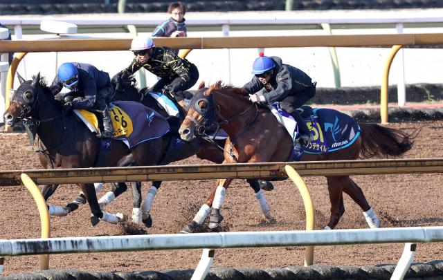 ڥѥC1ۥΥǥCW782118ιפȾϿ٤졡ͺ귽֤ޤ;͵뤫ʡ