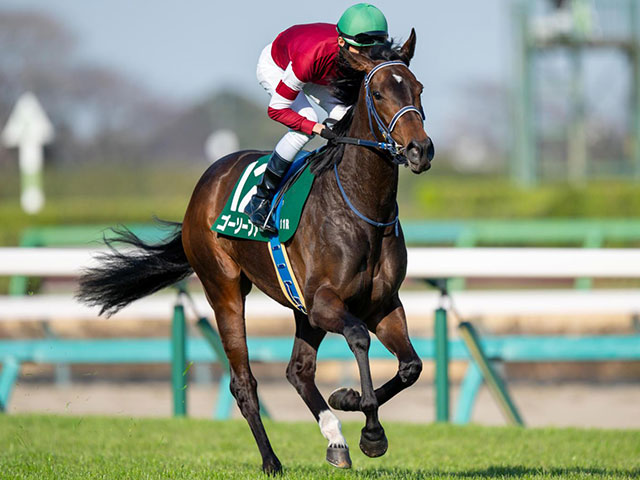 「ウマ娘」の藤田晋オーナー 今週末は渾身の6頭出しだ