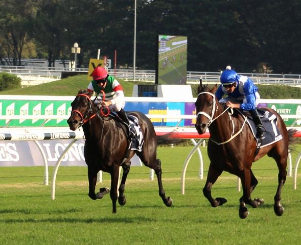 ̾ƥ󥯥2롼դιפĩ