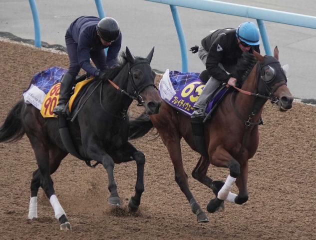 ڥѥC1ɤۥ֥쥤ǥϤʤ114ĻաĴɤ