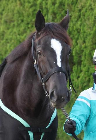 ڥޥCSۥԥΡʷ⤬ɷˡա԰¤ʤĴǤƤ