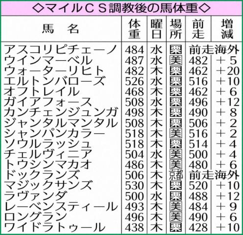 ڥޥCSۥե12ҥ20Ĵν