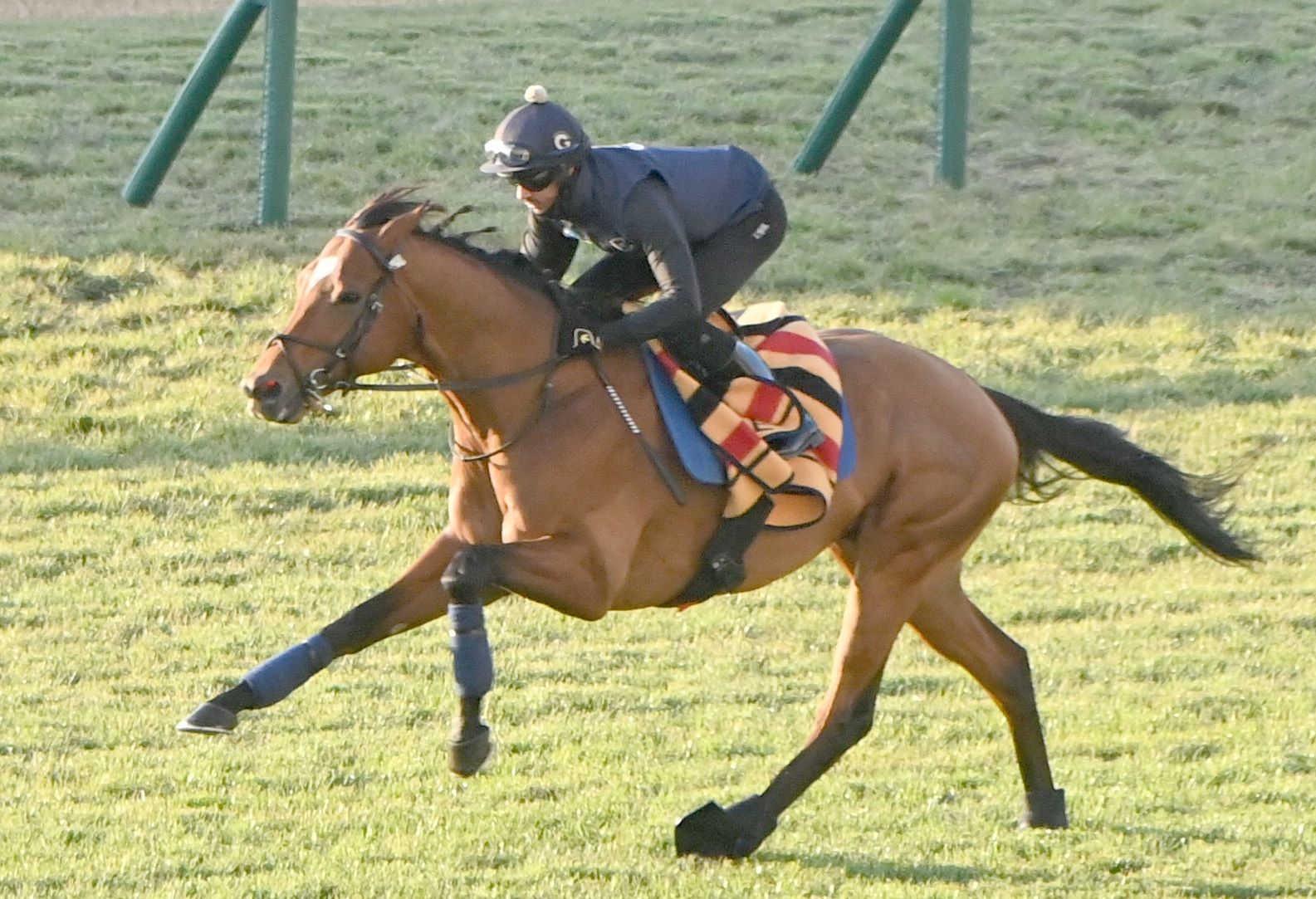 ڥޥãӡۥɥå󥺡ѹ񤫤λɵҤʥߥåʥեǱԿ桼ա˳ڤߡ