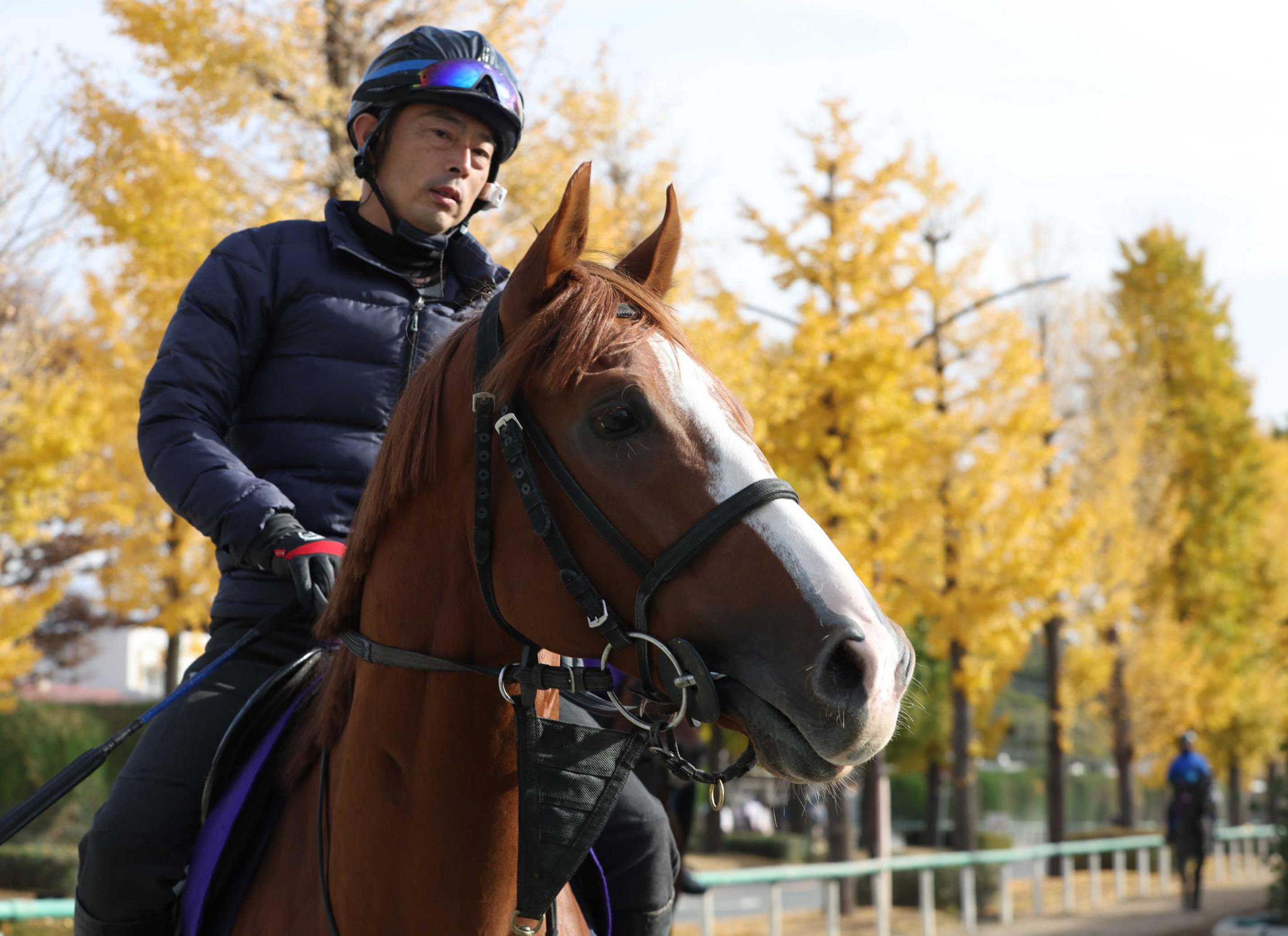 ڥޥãӡۥȥޥꡪǣǣǯȾ֤ޥ֤߹礨аȯäƤ