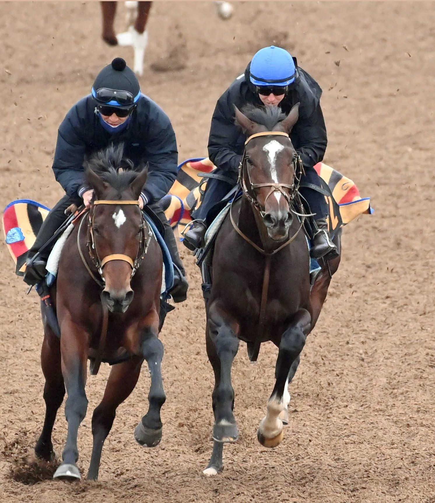 쥹գУӡۥΥҥȥ꡼̵Ϣǽžޣַ롡졼־̤ۤƤޤ