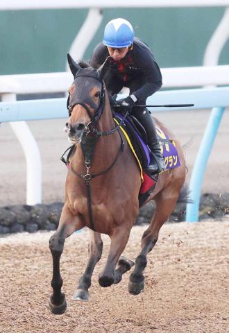 ڴĹǮ!!ƻ۵ԳؤŬ򴶤󥰥ֹӤ줿Ͼˤ륿פǤϤʤ