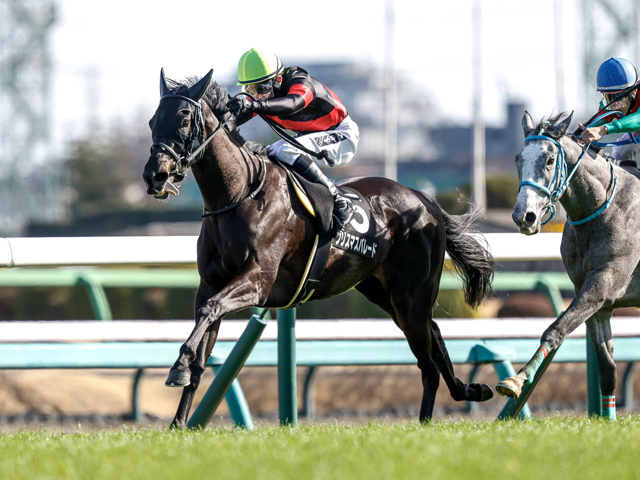 ʡ絭ǰȽۥꥹޥѥ졼ɤ11֡Ĥ48