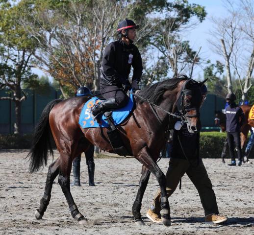 ʡ絭ǰ۸Ź륢饿713֤ϢƤ3Ϣ̥ϤΥ˥Υƥ510