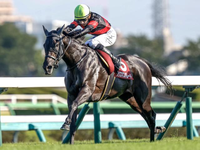 ʡ絭ǰͽۡ۽ʡ糫Ťϥǽž 10ǯ1ֿ͵Ϥ鷺1