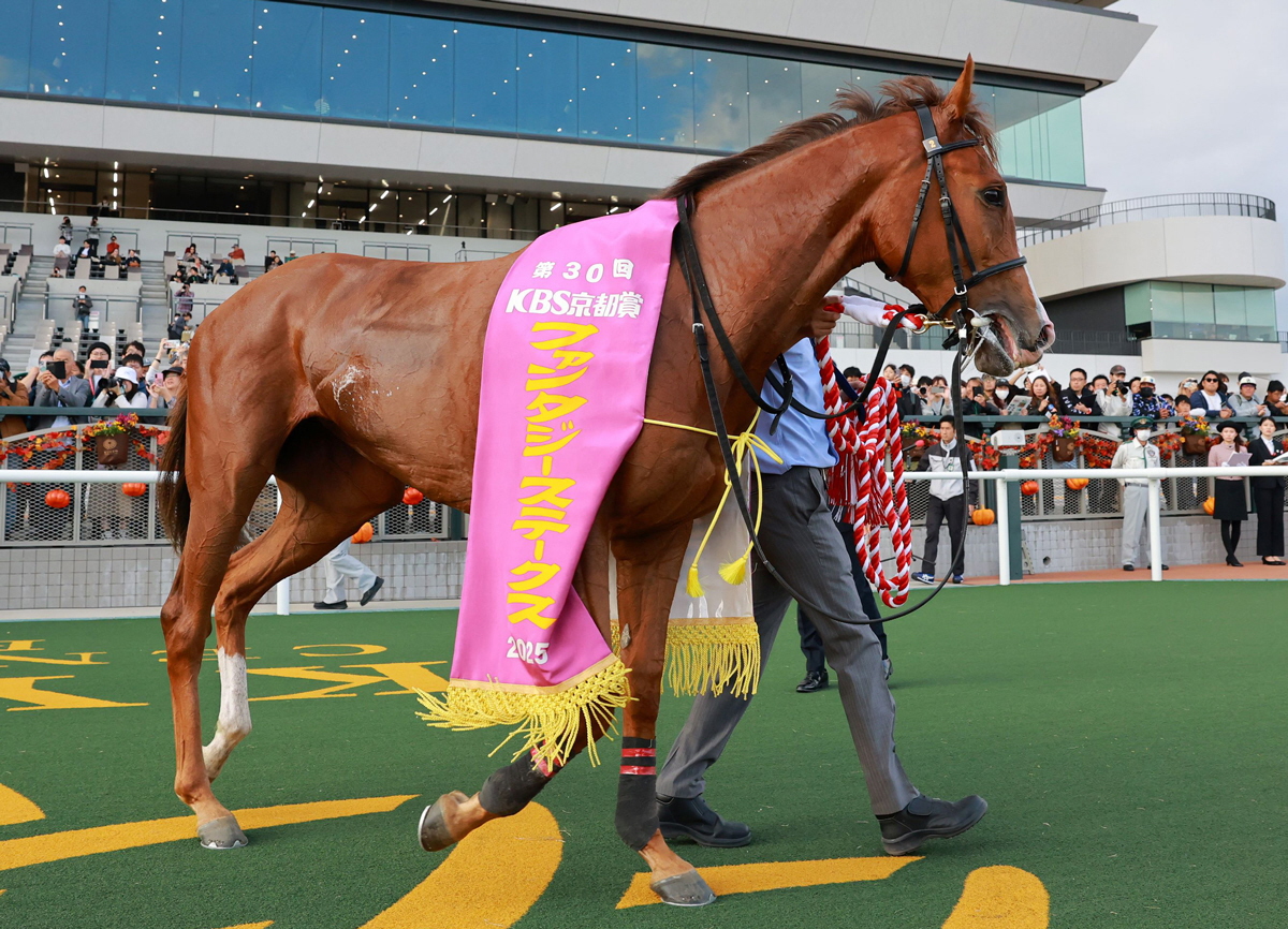 ե󥿥ƼԥեƥХҥ롡ΥޤǺʣƸ