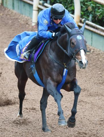 ڥޥCSϢå17ȤرĤѤοʤ֤ޤǵˤǤϤʤ