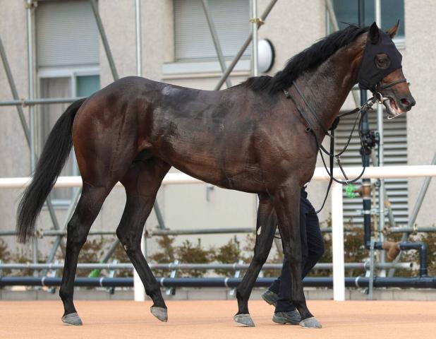 ư2С̵2ϢΥѥޥ󥵡2ͥ٤ػɸդUAEӡ