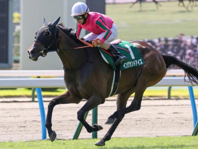 ʡ絭ǰǯͭ ȹԤΥ󥰥ɥܤ