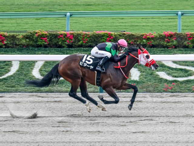 ͭư¢S3ӥ䡢ܤꡩ 1ǥ꡼S/ϻϺΤĤ֤䤭