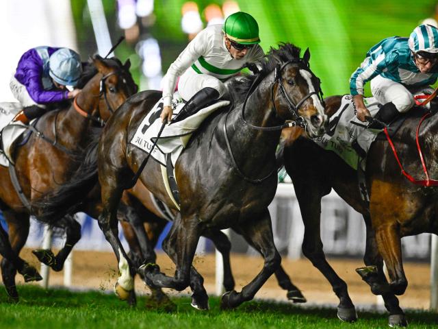 ڥޥCSͽۡк1̤ϰճʼо!? GIޥCSĴк®