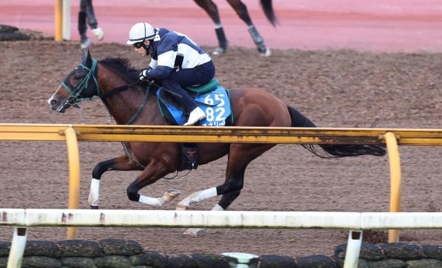 24ǯǰ25ǯ滳դʥबϿáϾϤ