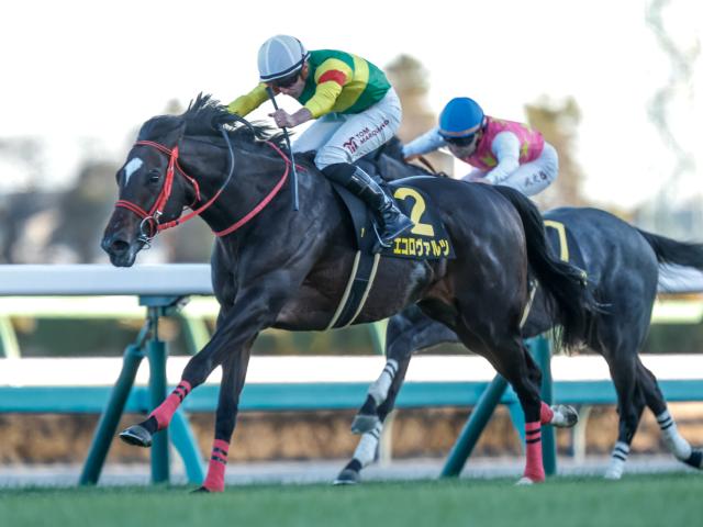 ںܥݥȡʡ絭ǰǥĤžƤ