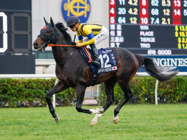 ڥޥCSͽۡ۽Ż뤹٤ϡ֥ơפפ ǡõGIޥCS