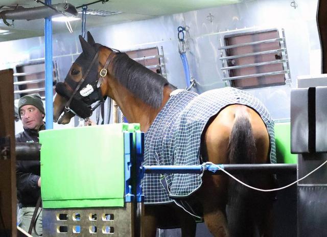 ǯβǯɽϤ˵󤬥ѥCϾǤĴϡرġνŤѲޤ