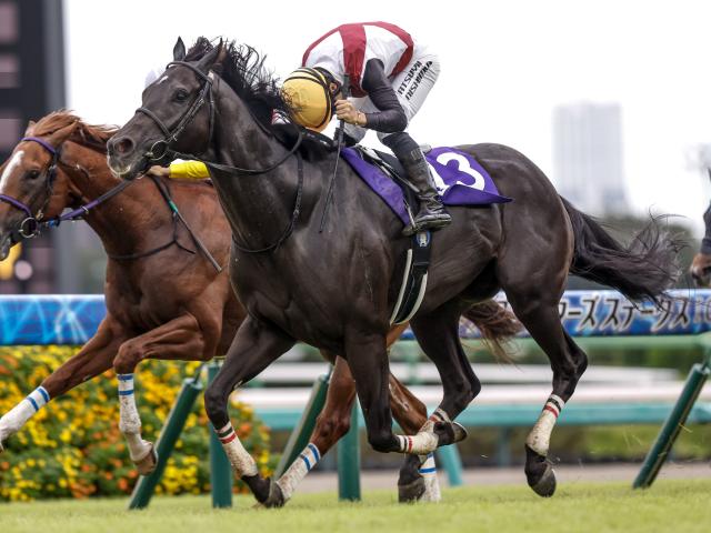 ڵϡۥ륬롢ʥ饯ʤ24Ƭ