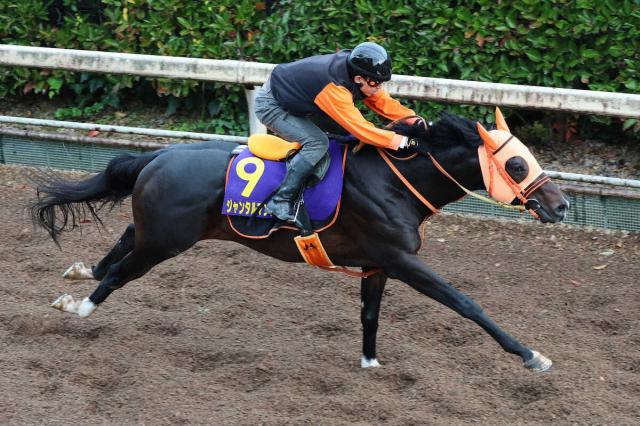 ڥޥCS(15)󥿥ޥ󥿥롡ĵǰ1٤Ƥաֺ