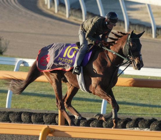 ڥޥCS(2)ѥ󥫥顼ʤ٤롡աָϥåɤͤ뤫