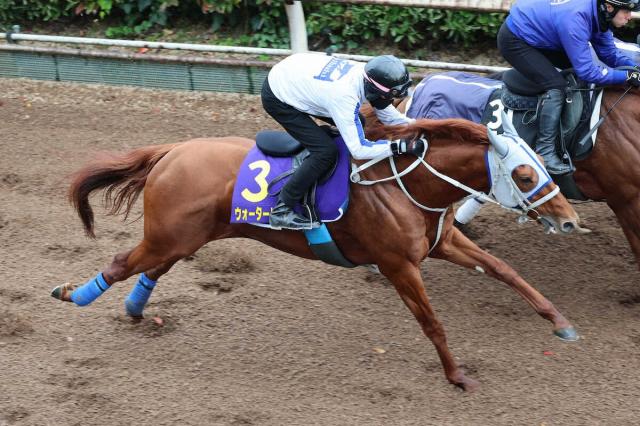 ڥޥCS(3)ҥȡŸꤦжաήƤС