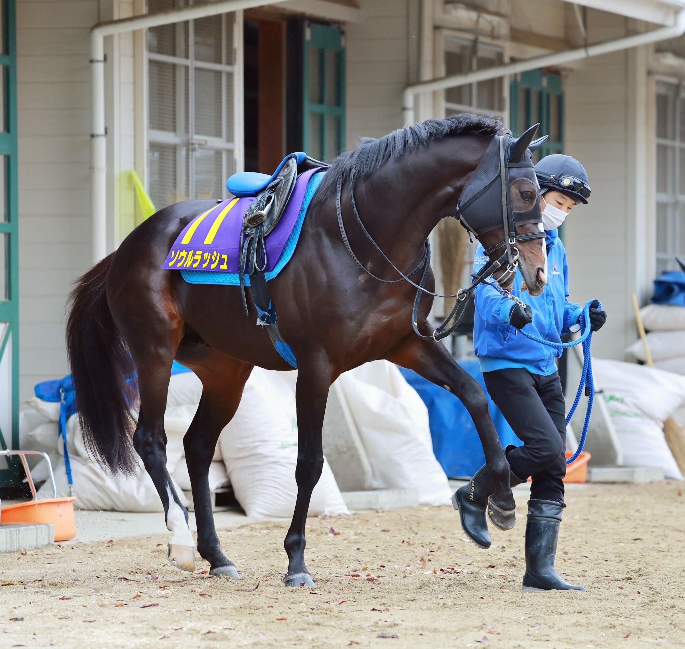 ڥޥãӡۥå塡ȣ֤˷ֳȤǤʤ櫓ʤס԰¤ʤ