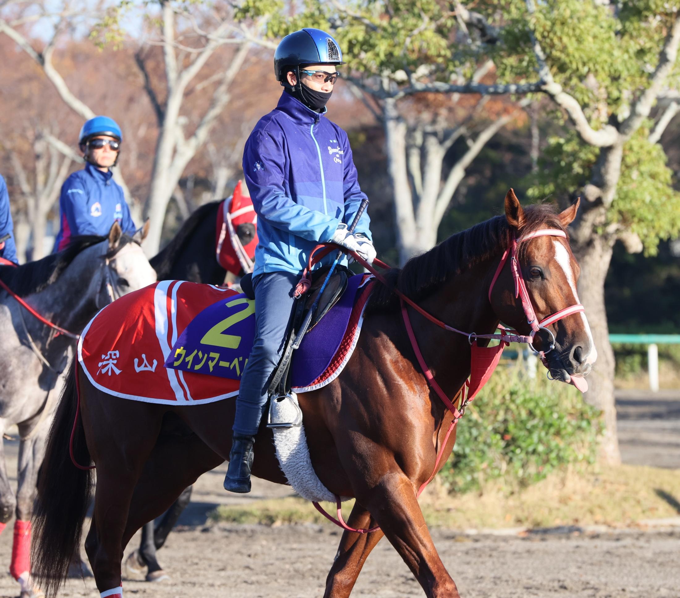 ڥޥãӡۥޡ٥룶ȣ֡աֵǯǤȤǤס־֤ϤΤǲȤ̤ˡ