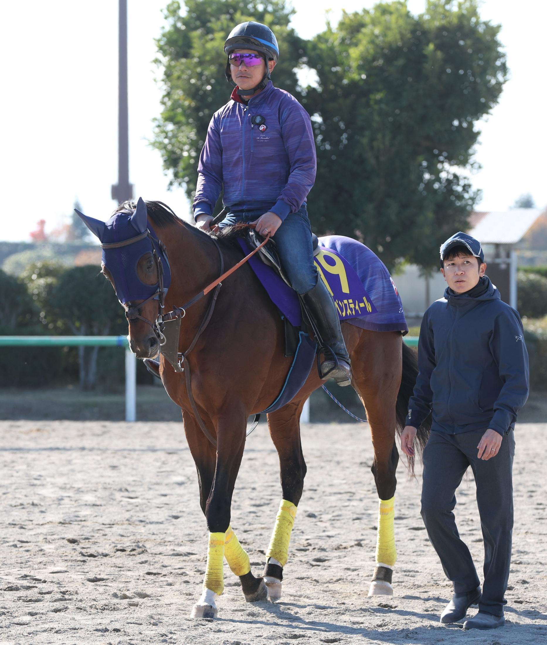 ڥޥãӡۥ졼٥󥹥ƥϣȣ֡աֶϤ䤹ȤȡȤϥåɤפ