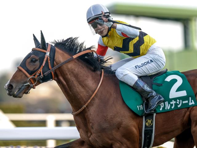 重賞2勝のアルナシームが引退 今後は乗馬に