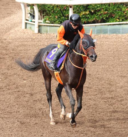 ڥޥCSۥ󥿥ޥ󥿥λž夬ꡡĴա֤ɤɤ󼫤ɤʤäƤ