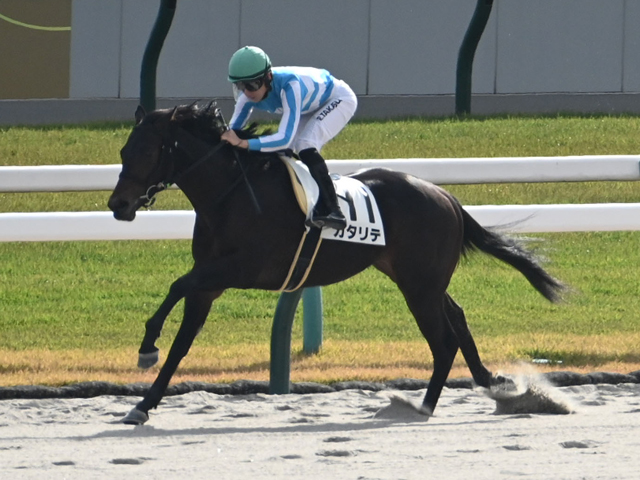 ڵ6R̡ۥΥ쥸ɻ𥫥Ƥ5ϿȺǰ