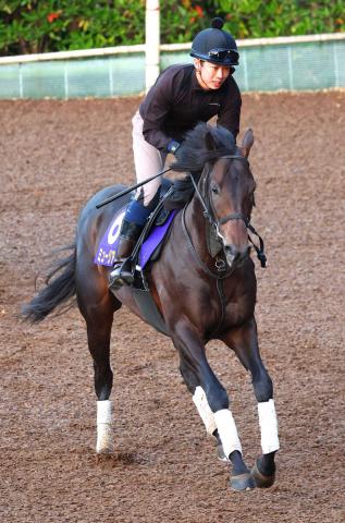 【注目馬動向】ミュージアムマイルは有馬記念参戦　同年の皐月賞馬Vなら2021年のエフフォーリア以来
