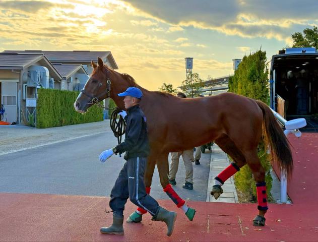 ڥޥCSۥȥޥĹ͢ꥢ˼ǥåرġ֤Ϥʤ˥ФϿ٤Ƥޤ