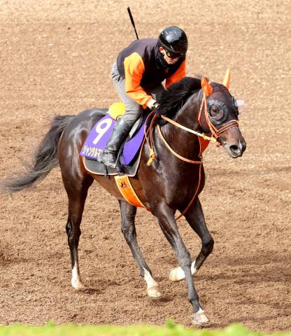 ڥޥCSñ1ֿ͵Ͻսޥ벦Ԥܻؤ󥿥ޥ󥿥21ܡǯƼԤ2ֿ͵