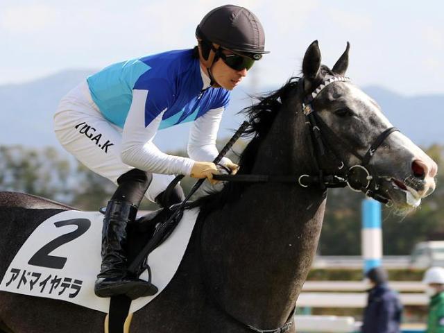 ľ꤬ѥCƤʤ뤫 ɥޥƥȻ