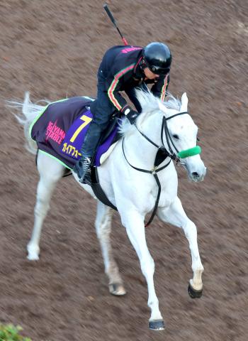 ڥޥCSٻSVΥեԺ򥤥᡼Ĵա餤ФƤС