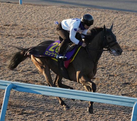 【マイルCS】(13)ロングラン　京都マイルは合う　陣営「心身ともにいい状態」