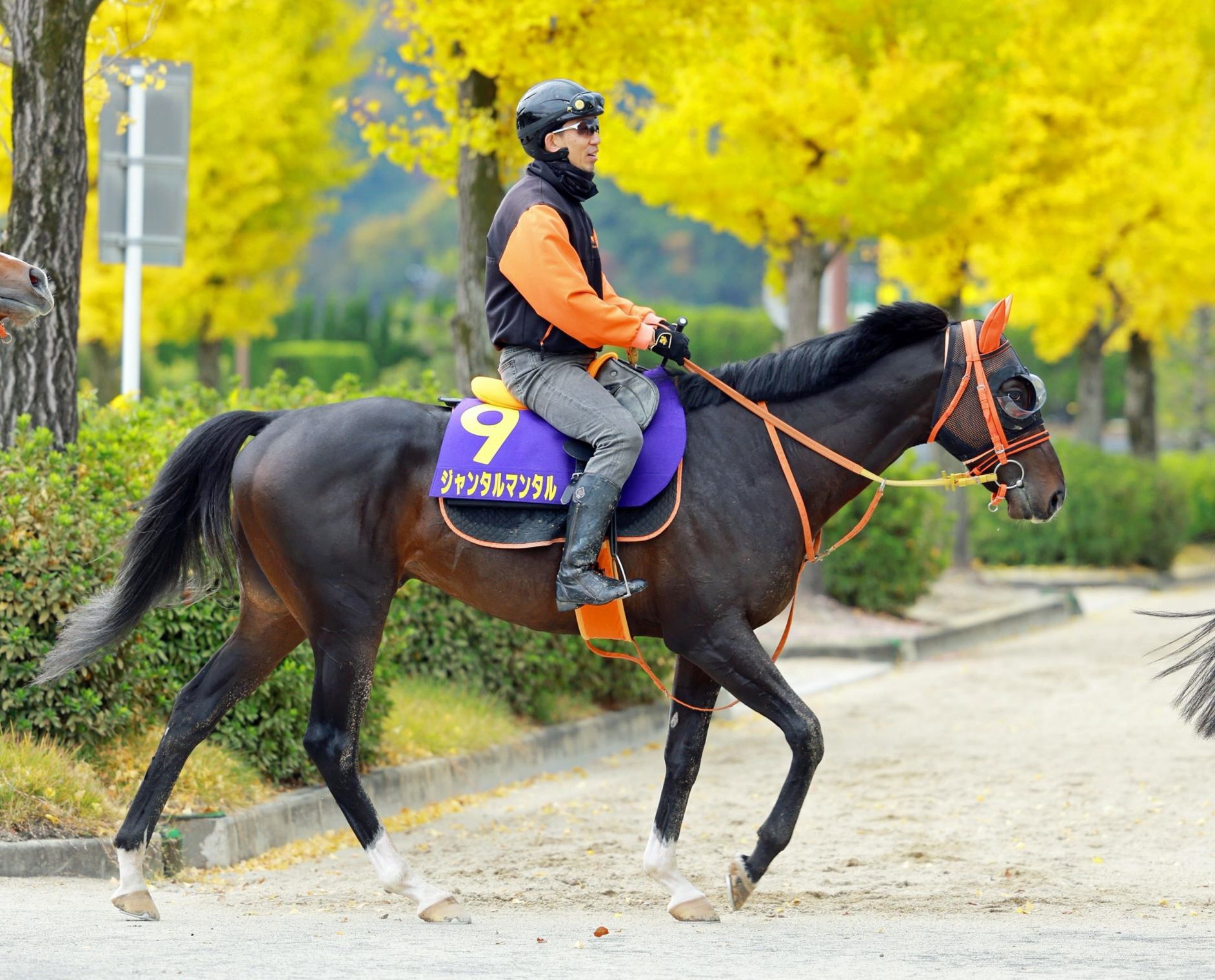 ڥޥãӡۥ󥿥ޥ󥿥롡աϤɤɤɤʤäƤäפȤĤǤ