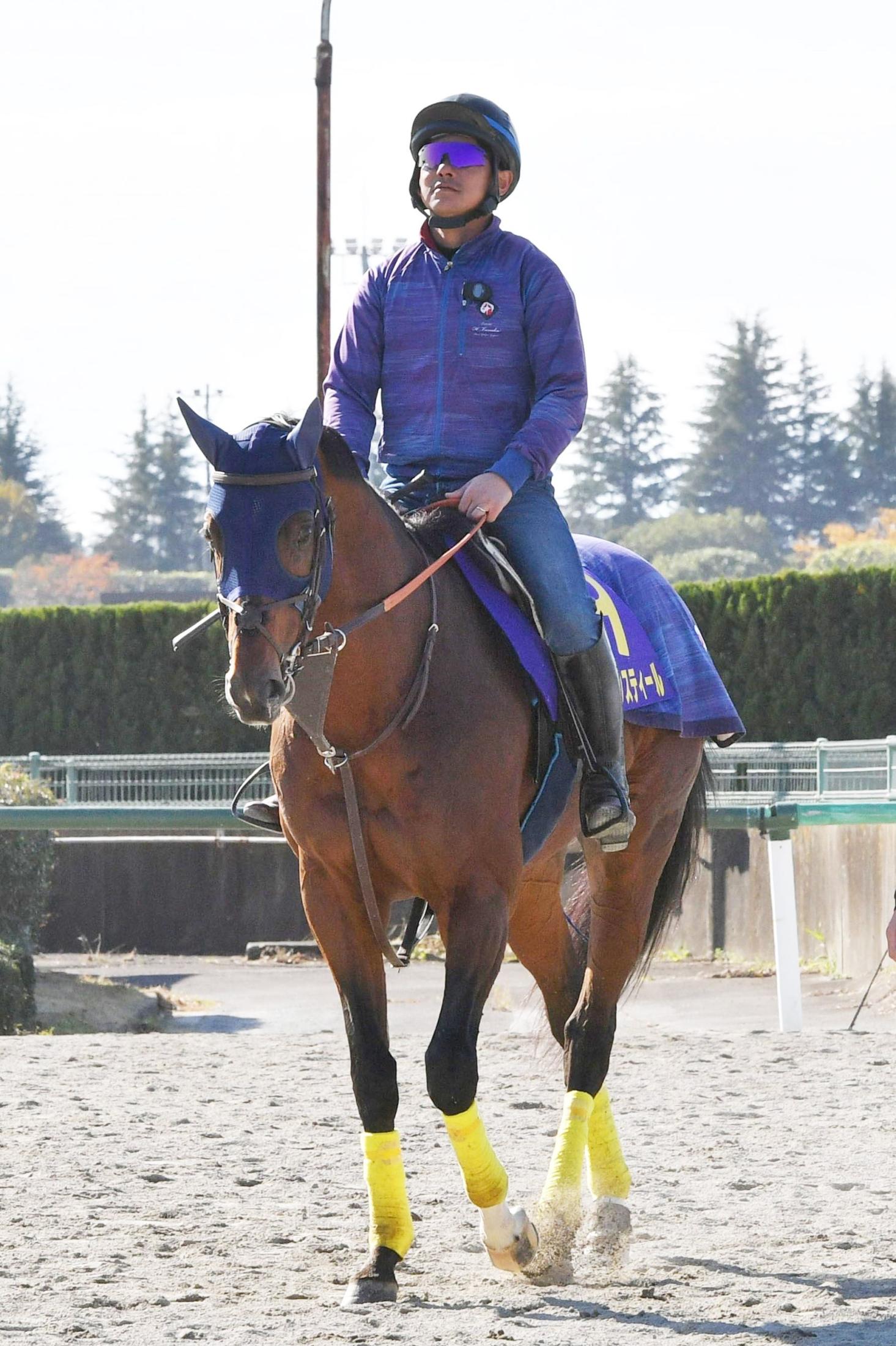 ڥޥãӡۥ졼٥󥹥ƥ롡ʤ塡ǣǣ֤ĩ